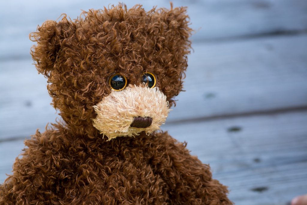 teddy-1485298_1920