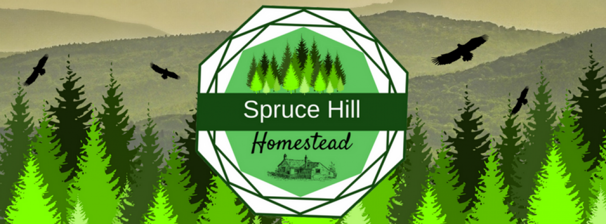 Spruce Hill Homestead