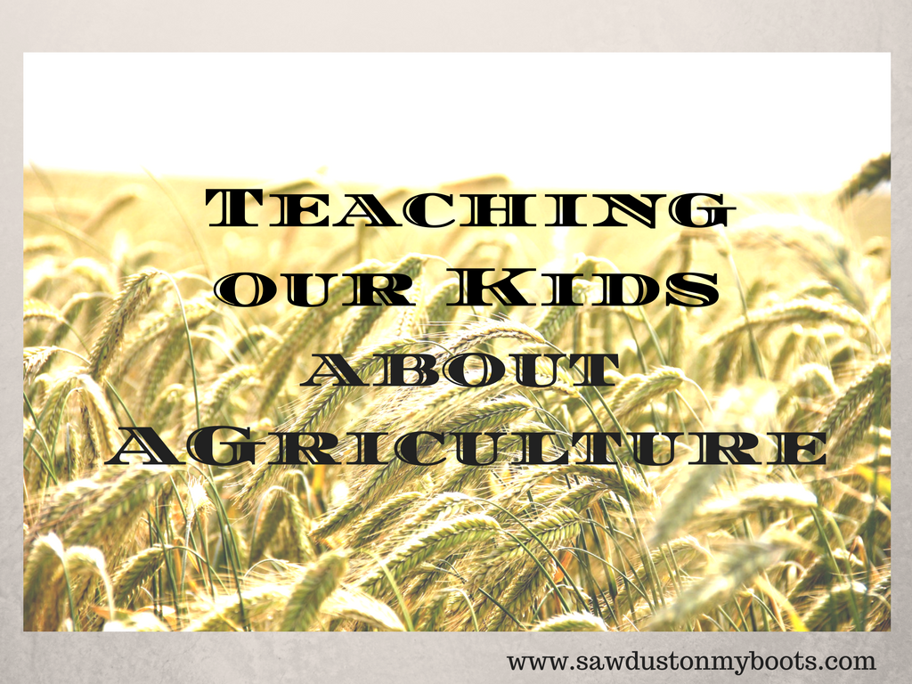 Teaching Our Kids About Agriculture