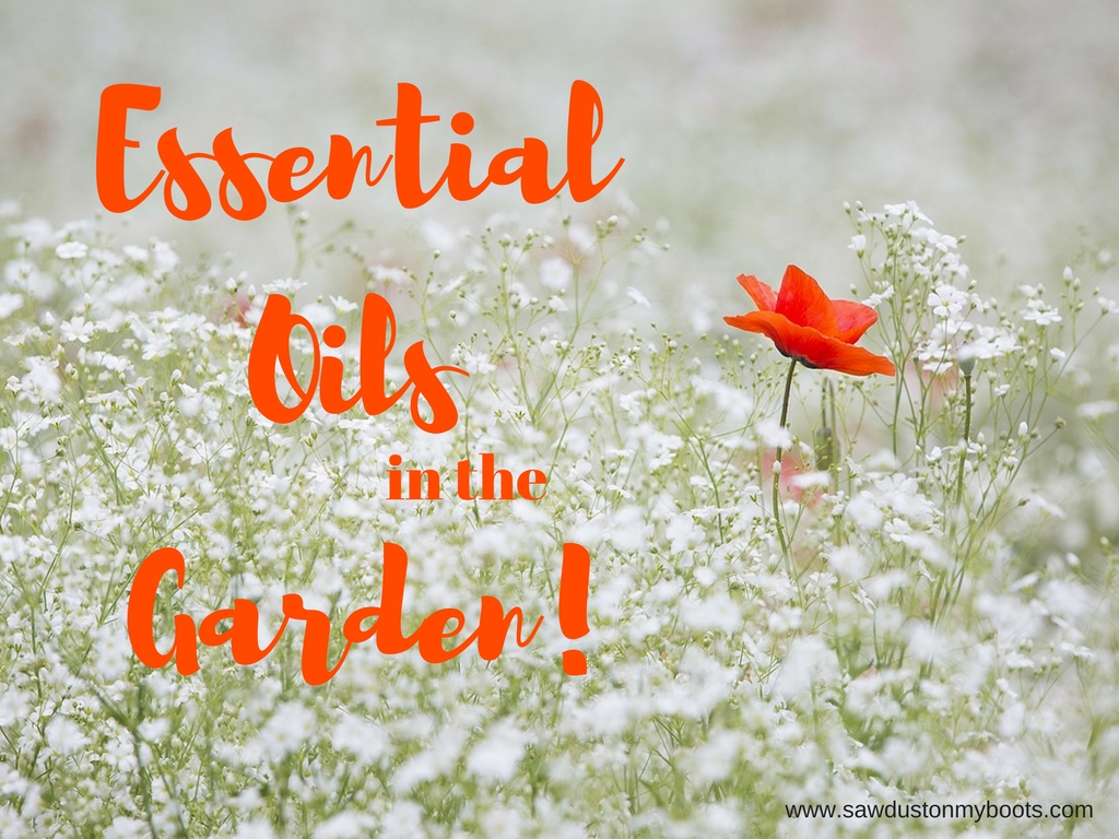 Essential Oils in the Garden!